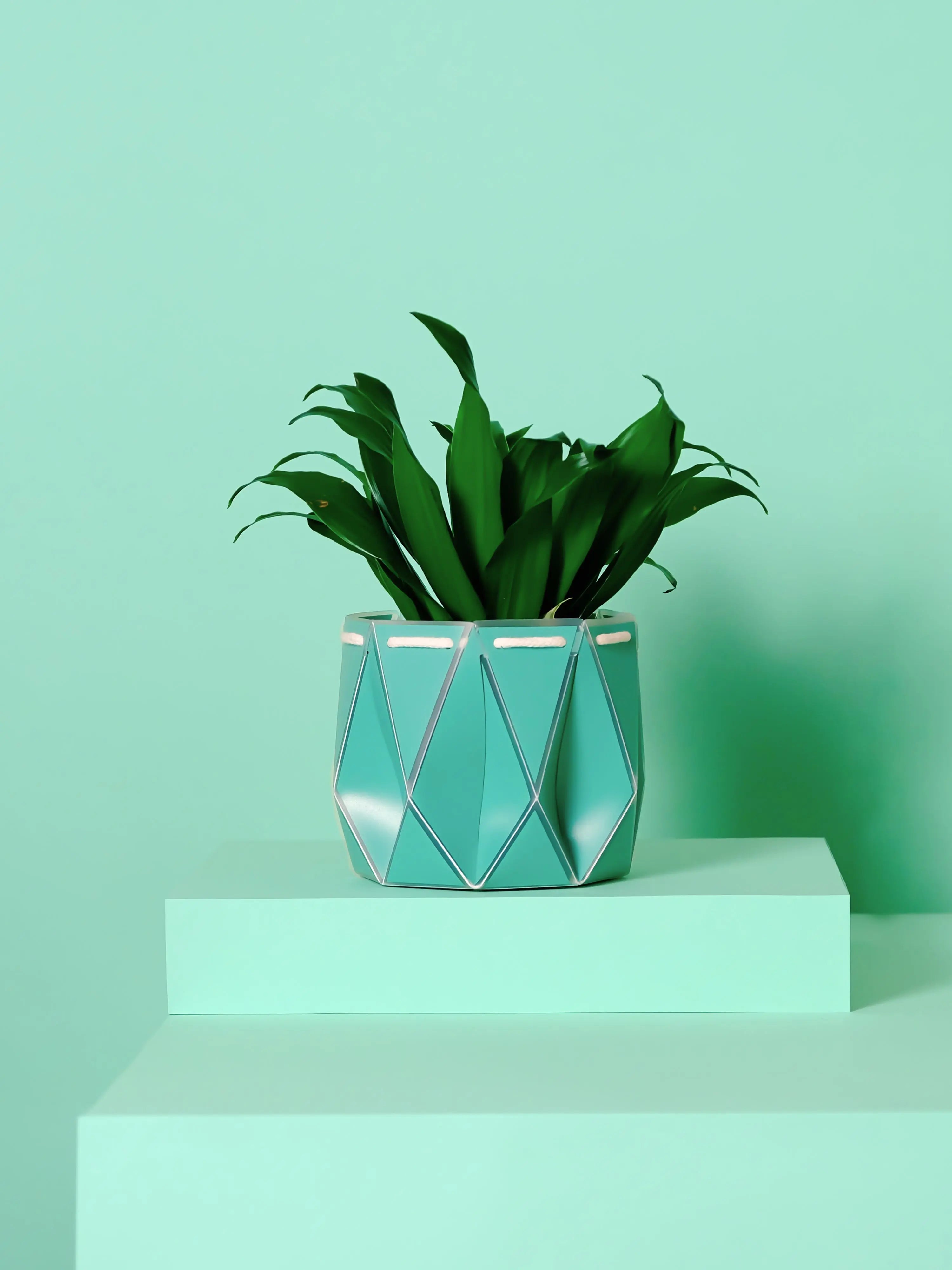 Shop Potr at Quinlans.ie – sustainable, self-watering plant pots made from recycled materials. Flat-packed, easy to use, and designed for modern plant lovers.