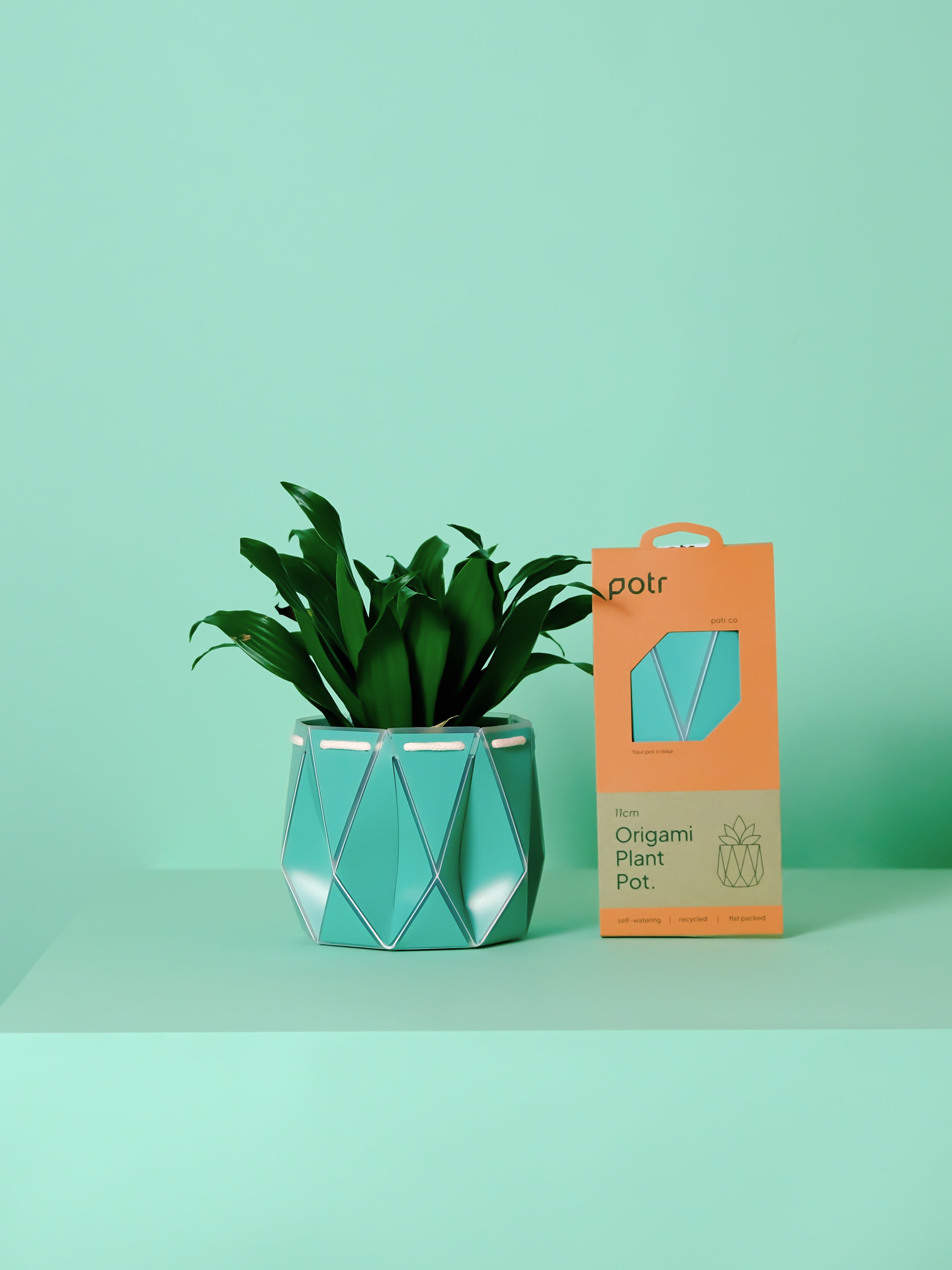 Pots & Planters Gifts | Quinlan's Gifts