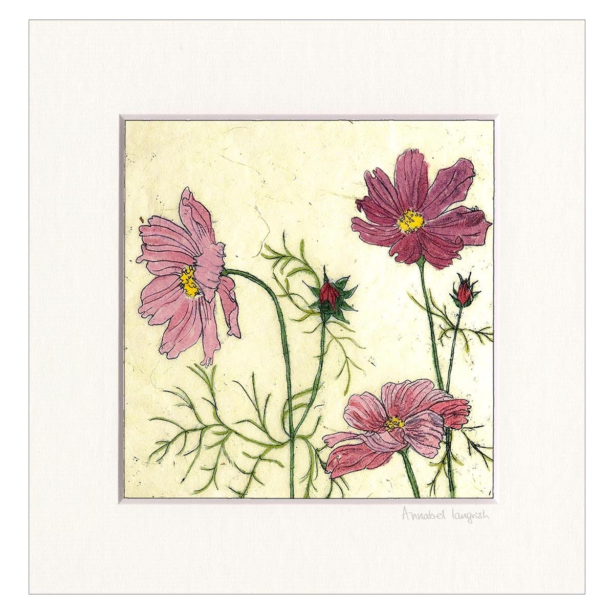 Annabel Langrish, Cosmos Mini Frame