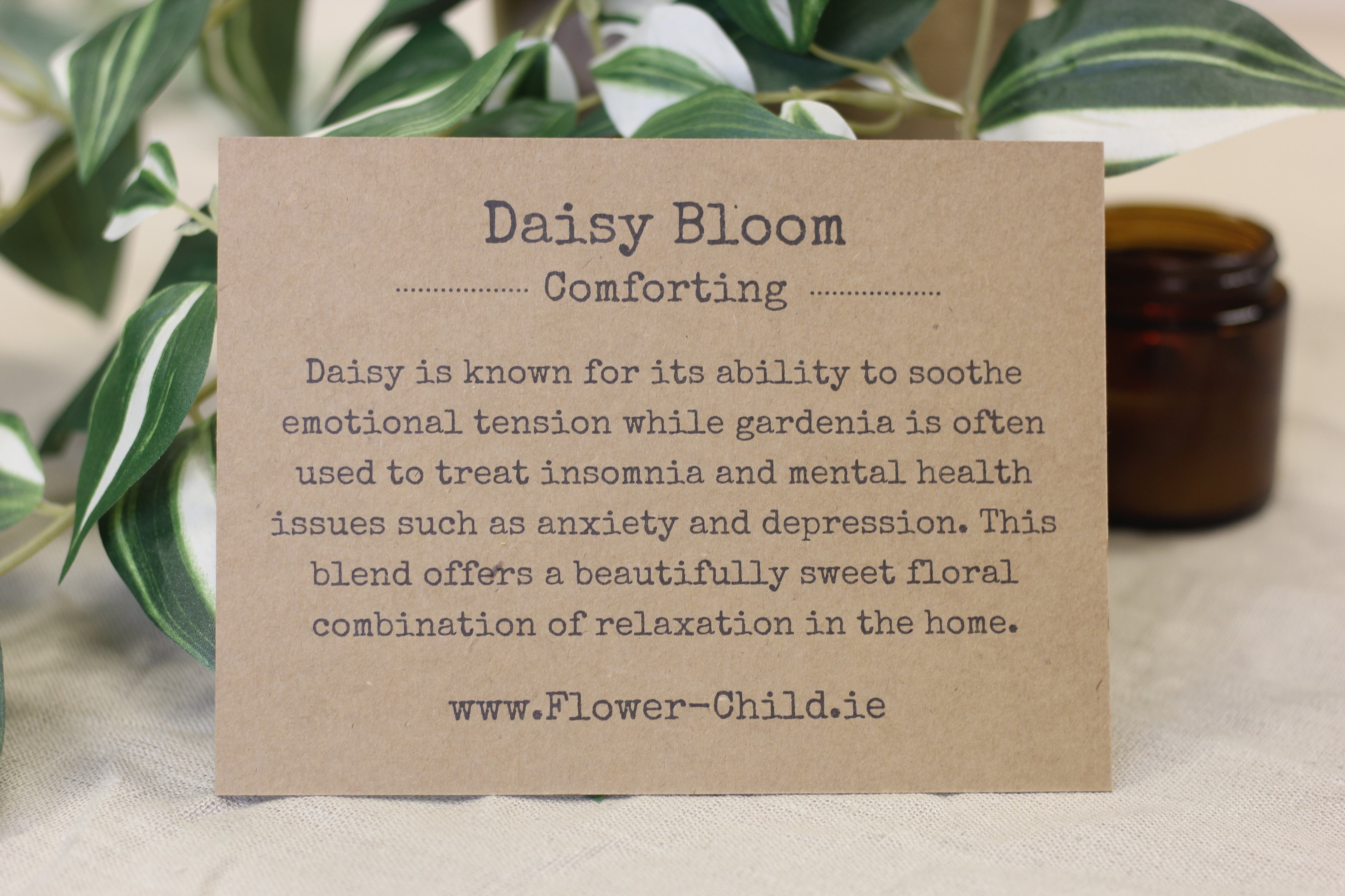 Flower Child, Duo Gift Box Set - Daisy Bloom Flower Child