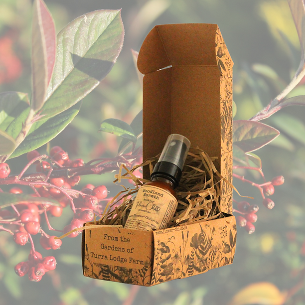 Flower Child, Woodland Warmth 30ml Room Spray