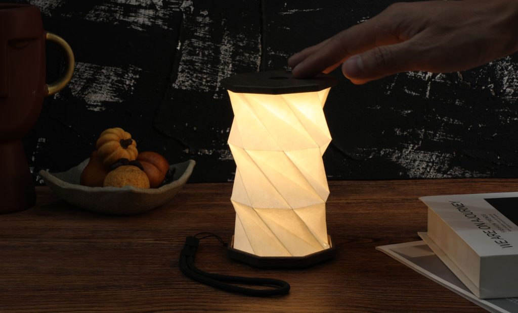 Gingko, Mini Twist Hexagon Light - Slate Black