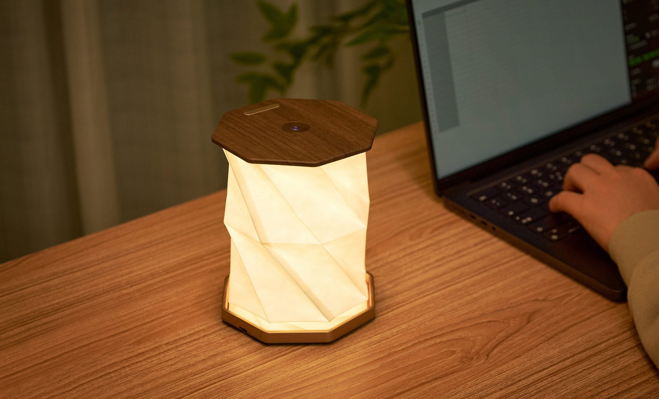 Gingko, Twist Hexagon Lamp - Walnut