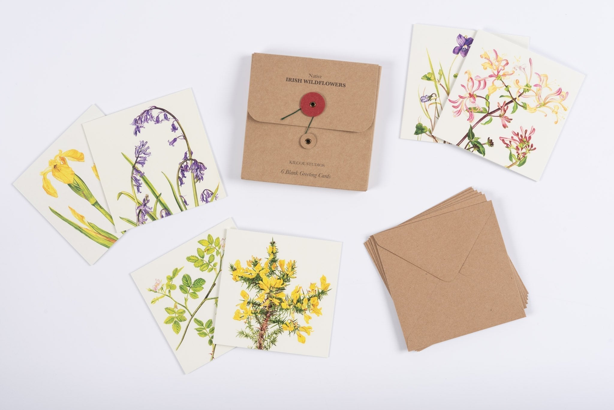 Kilcoe Studios, Irish Wildflowers 6 Greeting Cards Quinlans Gift Shop