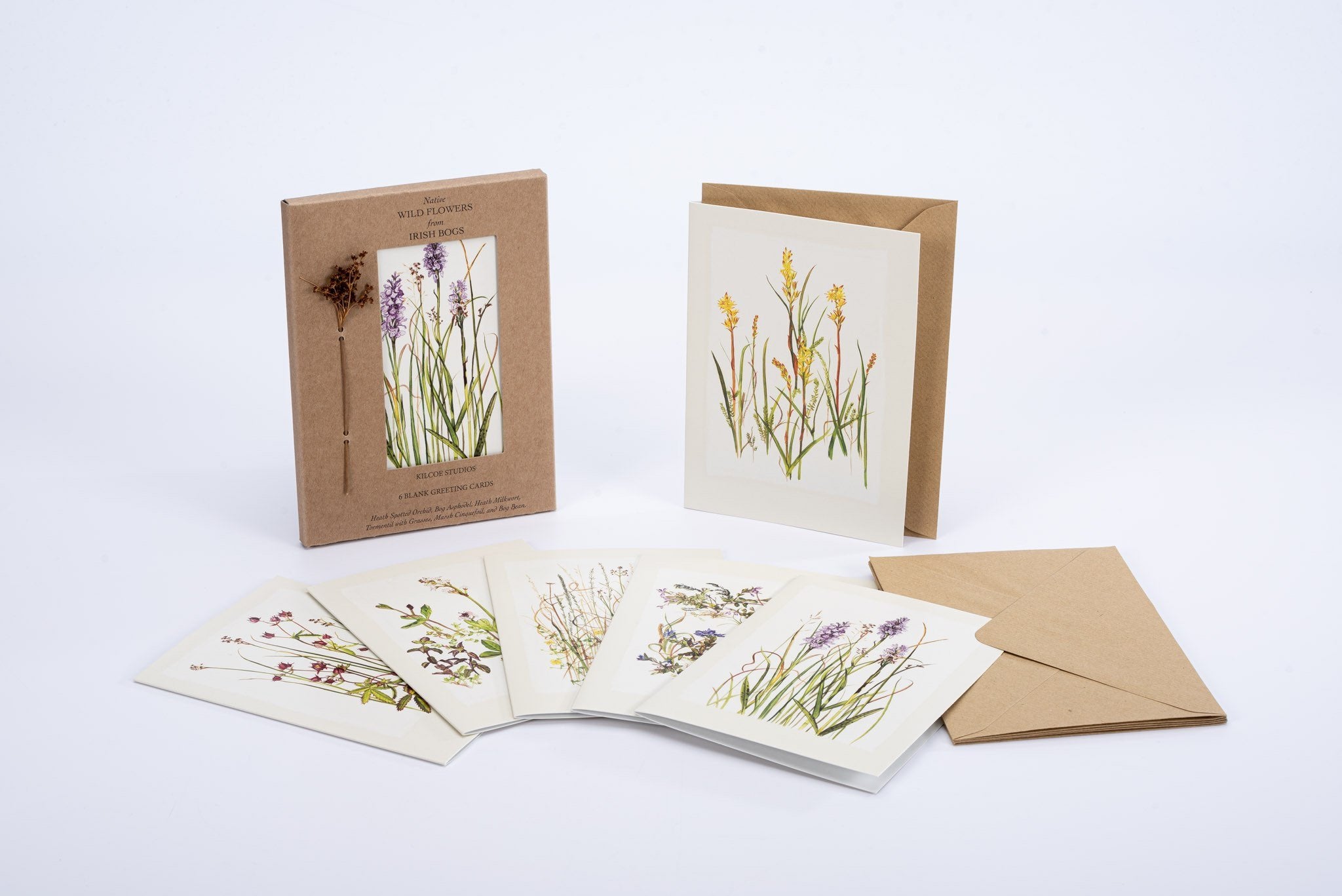 Kilcoe, 6 Pack of Greeting Cards – BOG FLOWERS Quinlans Gift Shop
