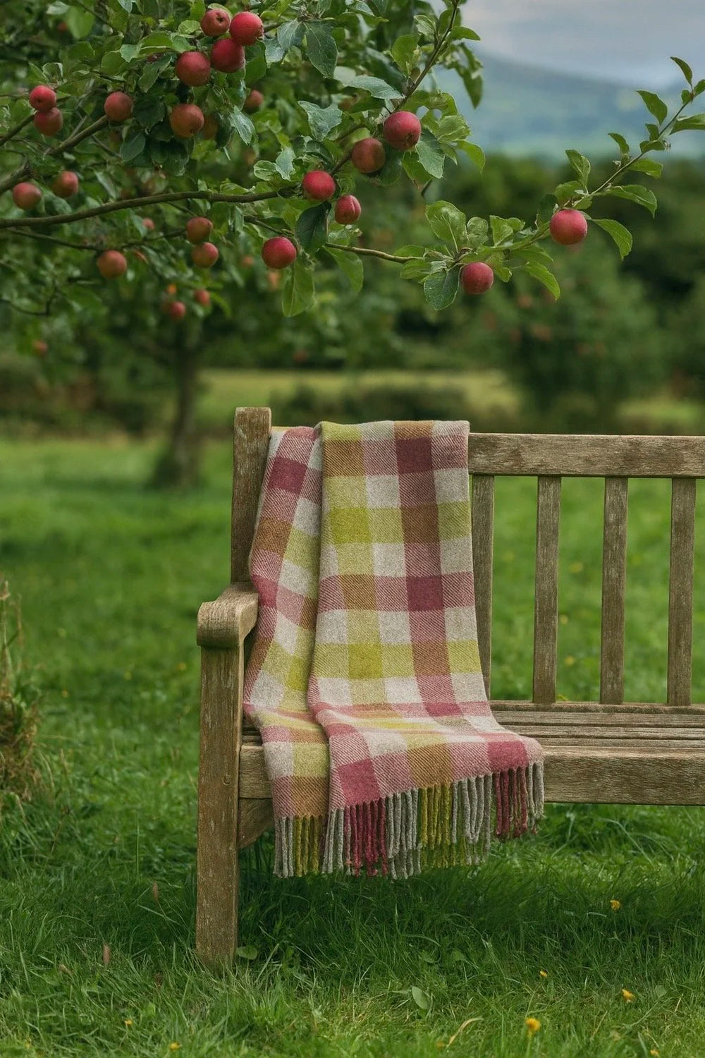 McNutt of Donegal, Forever Orchard Plaid Throw