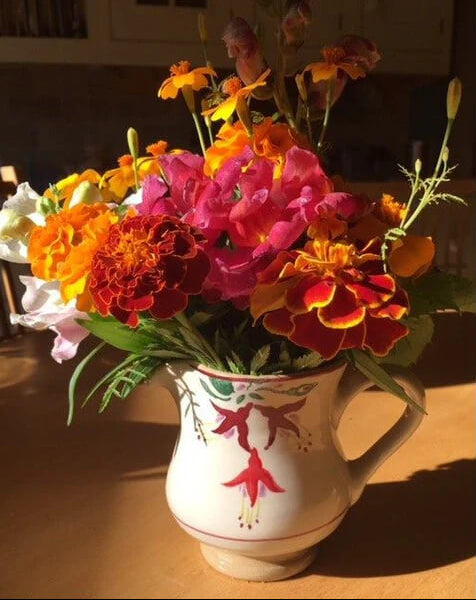 Nicholas Mosse, Fuchsia Small Jug