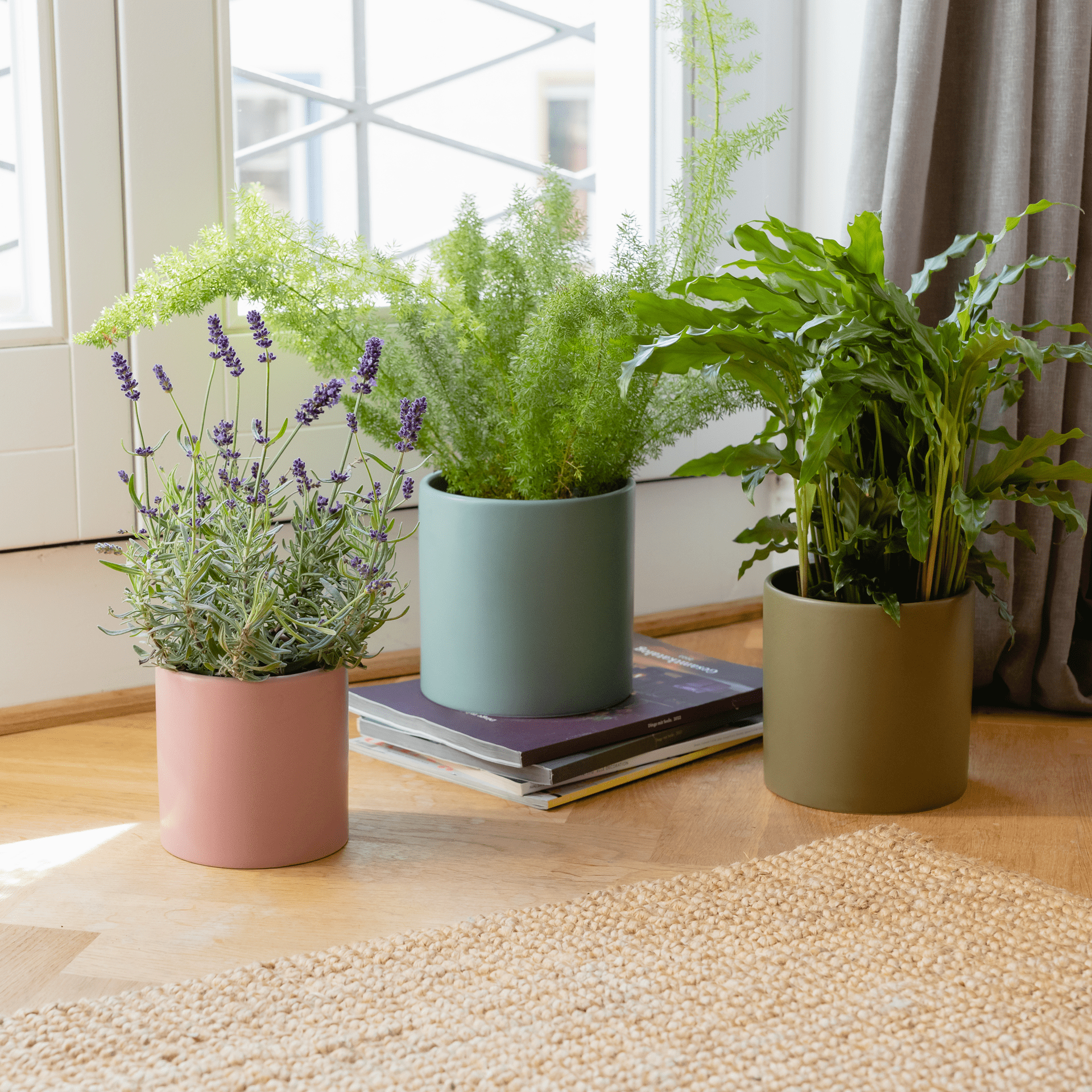Plant Pots, set of 3 Quinlans Gift Shop