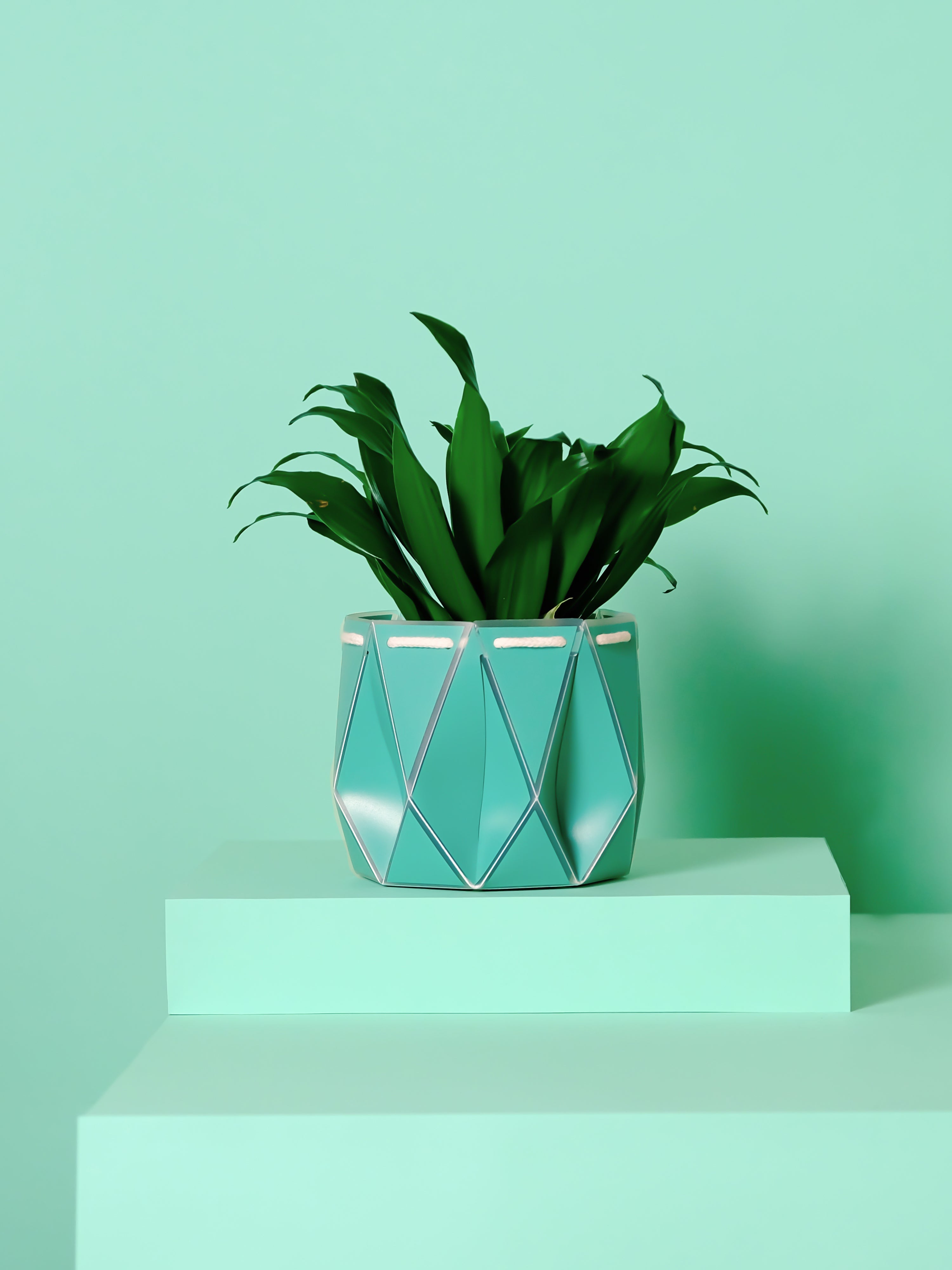 Potr, Aqua Blue Pot 