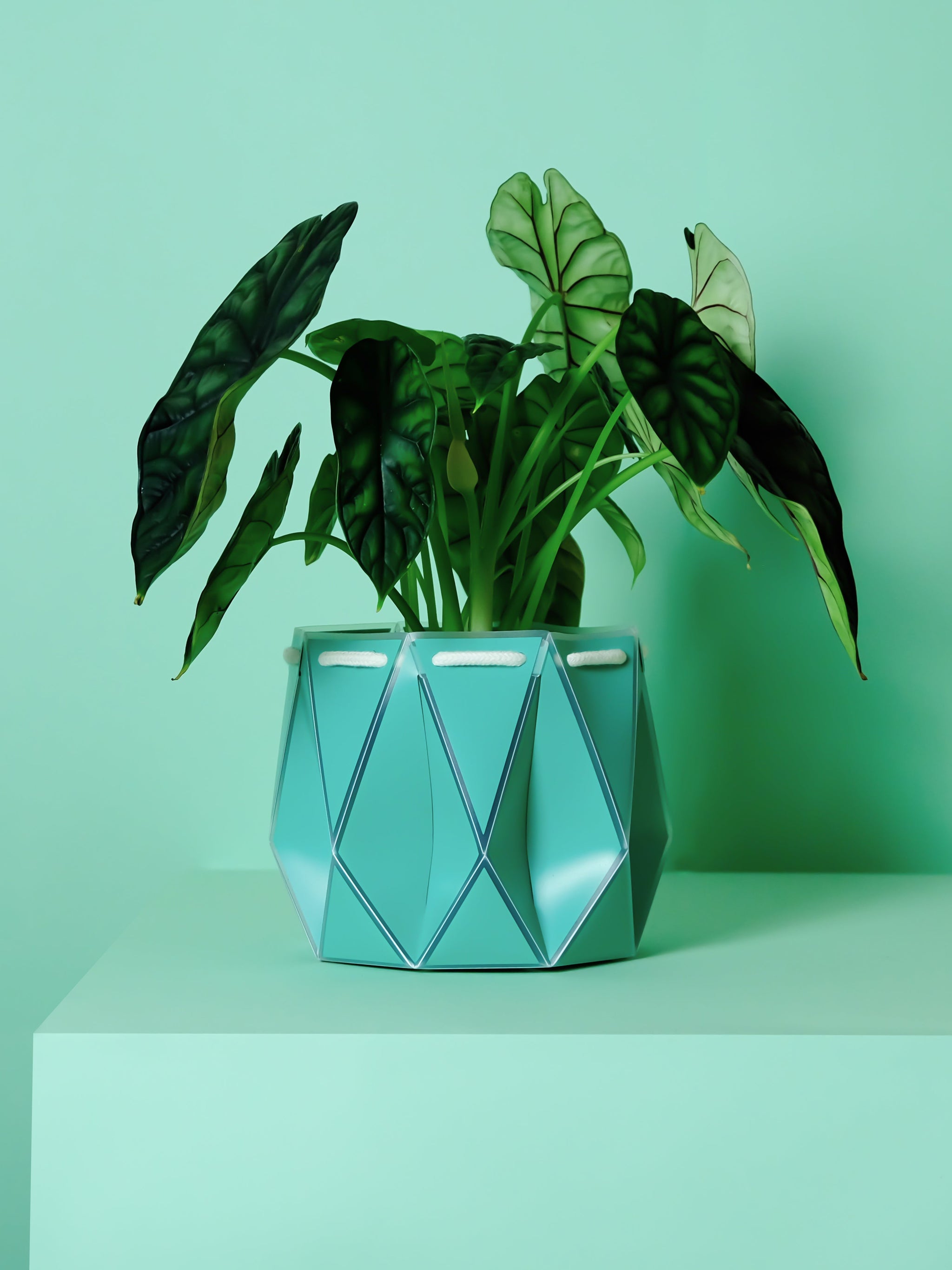 18cm plant pot Potr, Aqua Blue Pot (18cm)