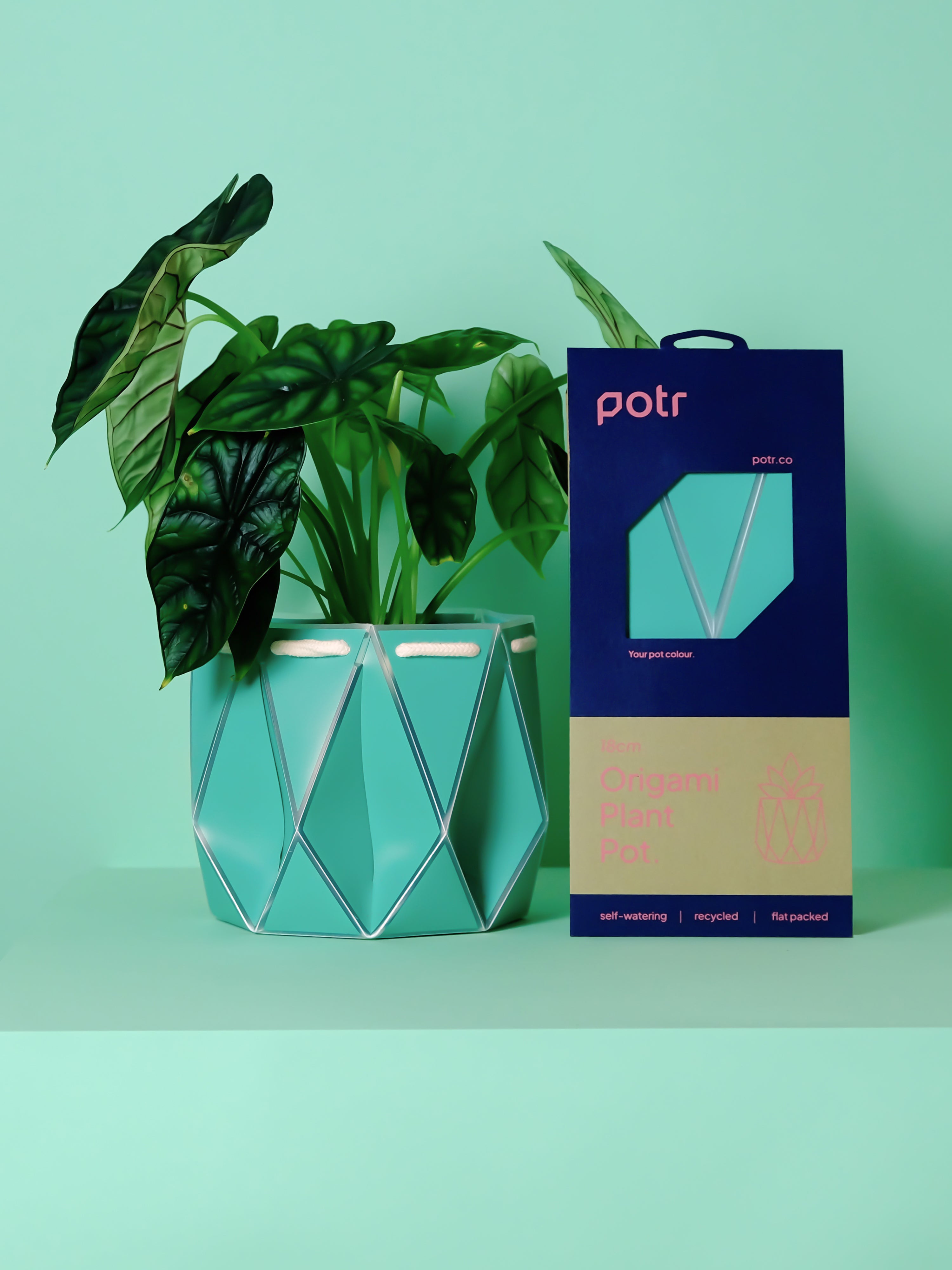 Potr, Aqua Blue Pot (18cm)