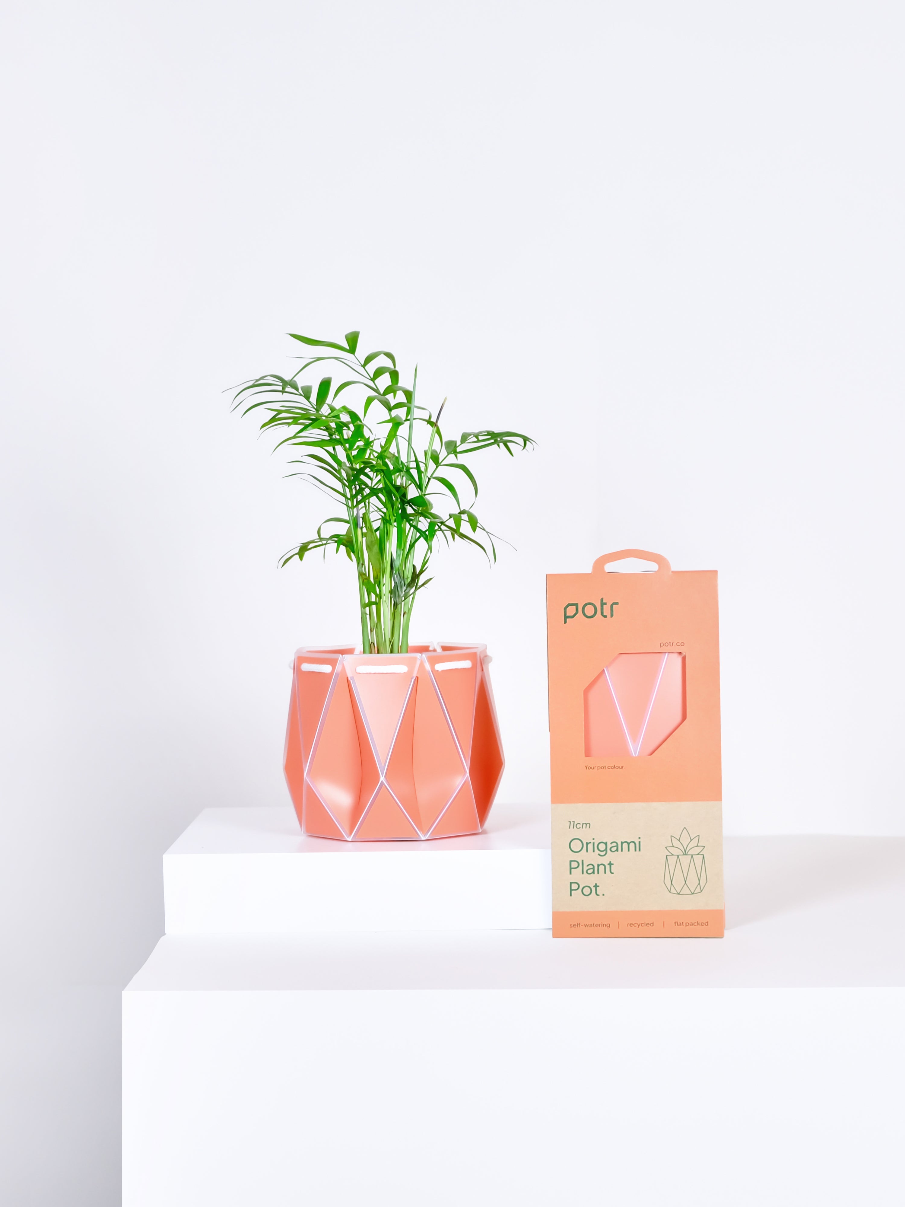Potr, Coral Orange Pot (11cm)