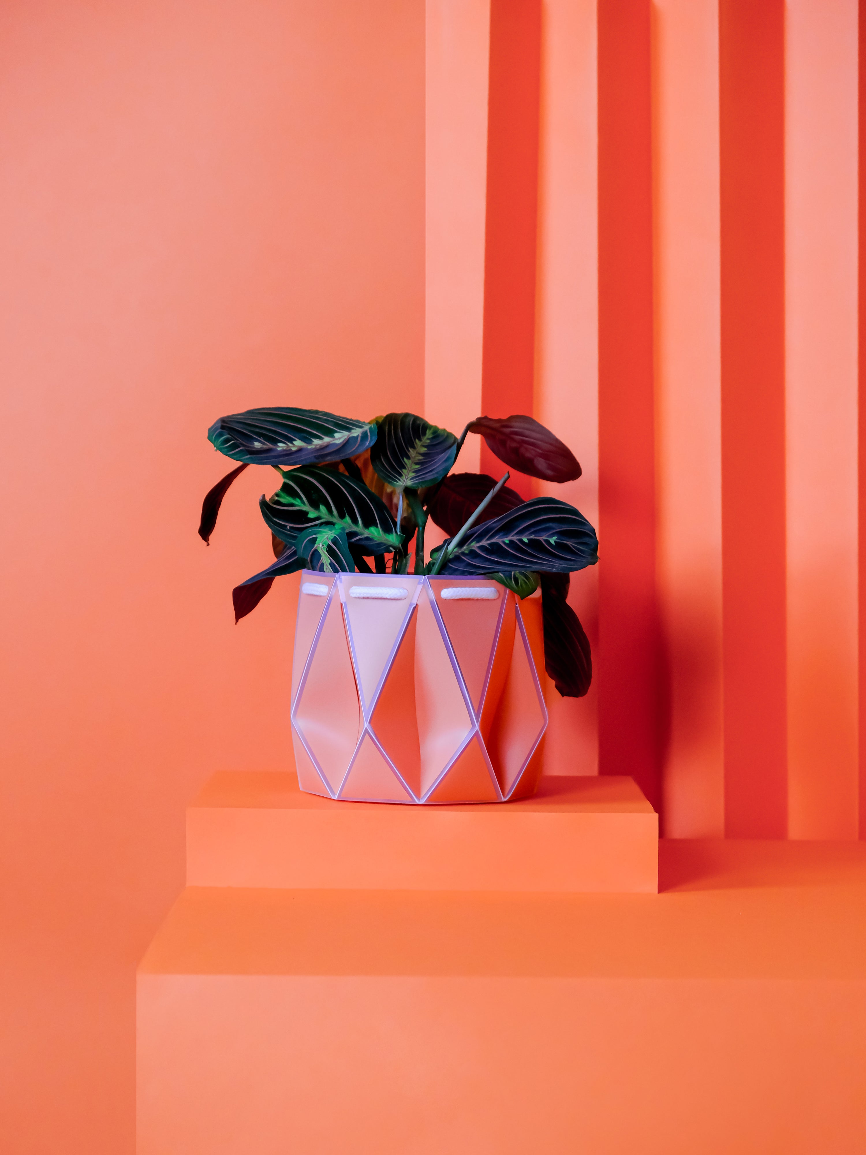 Potr, Coral Orange Pot (15cm)