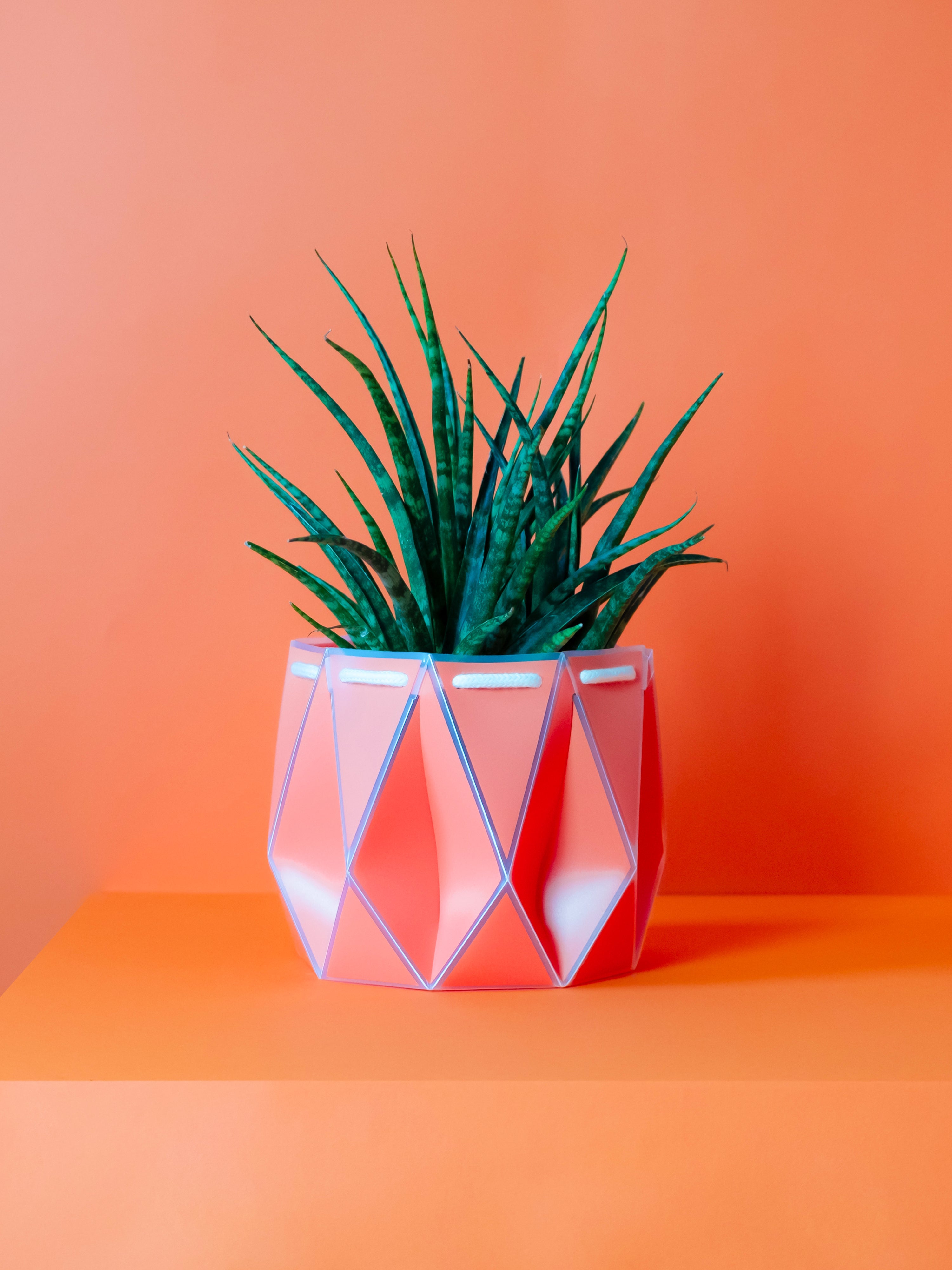 Potr, Coral Orange Pot (18cm)