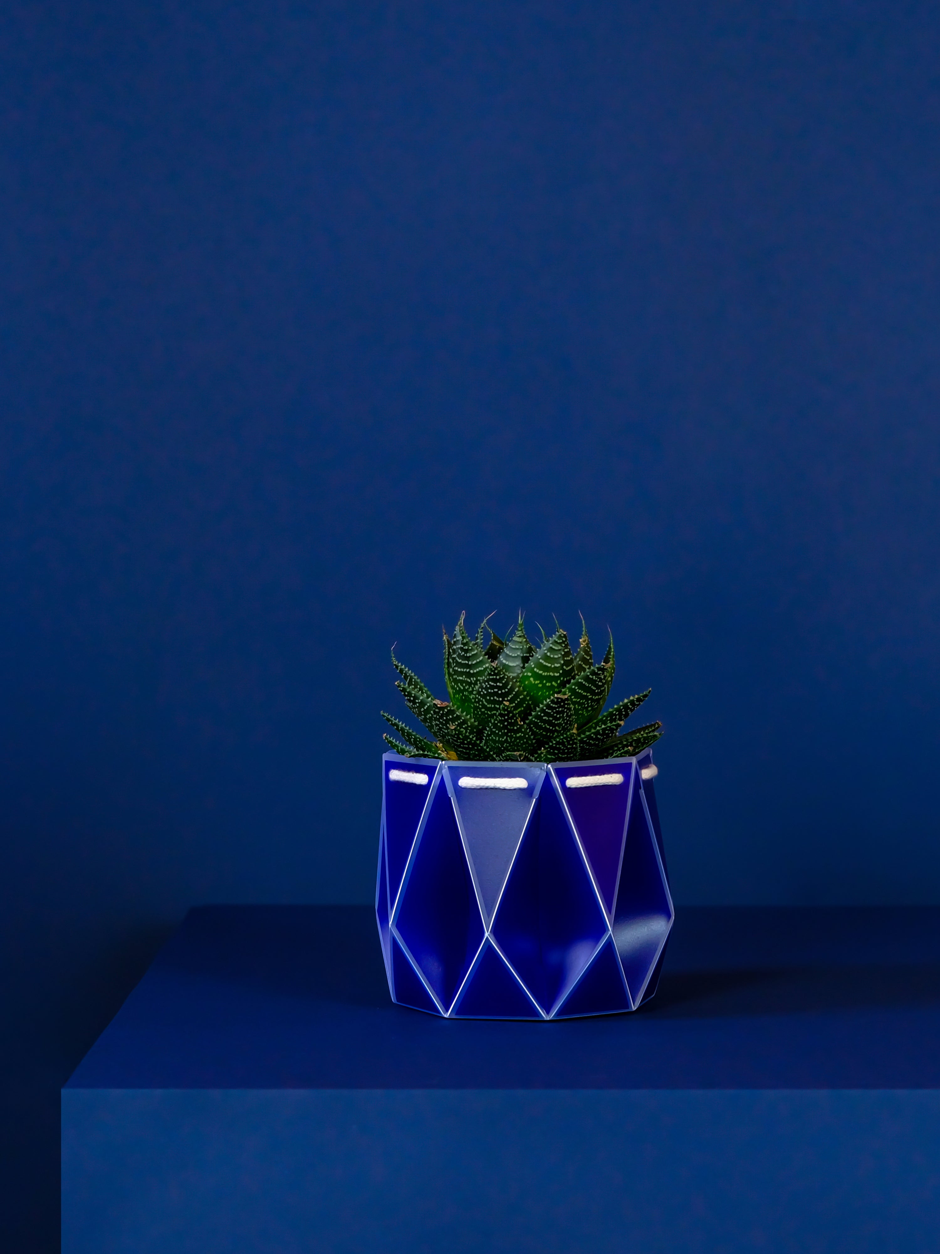 Potr, Ink Blue Pot (11cm)