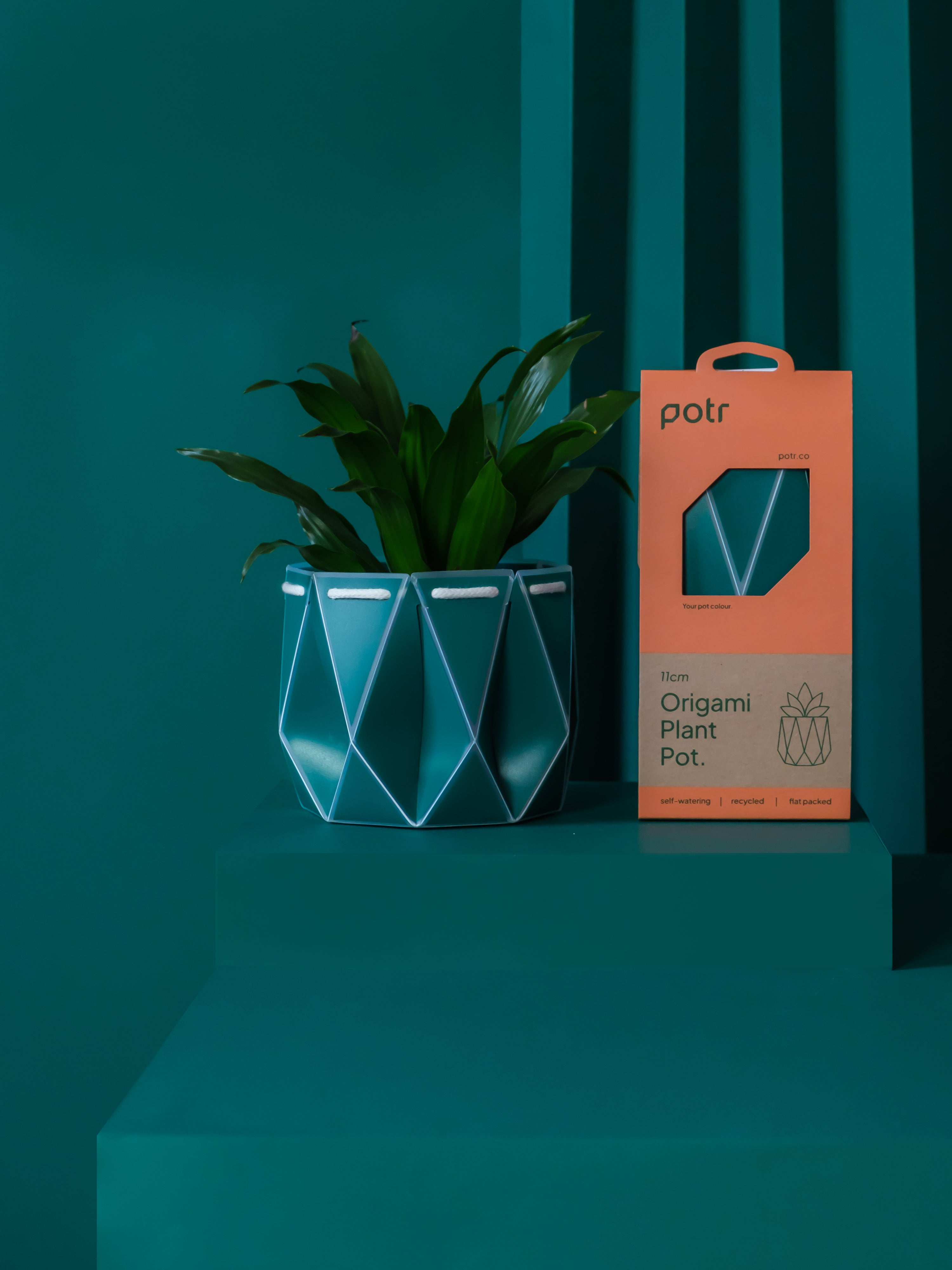 Potr, Pine Green Pot (11cm)