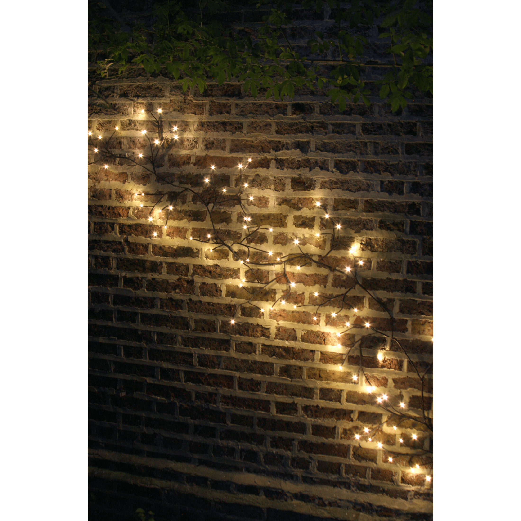 Solar Ivy Lights