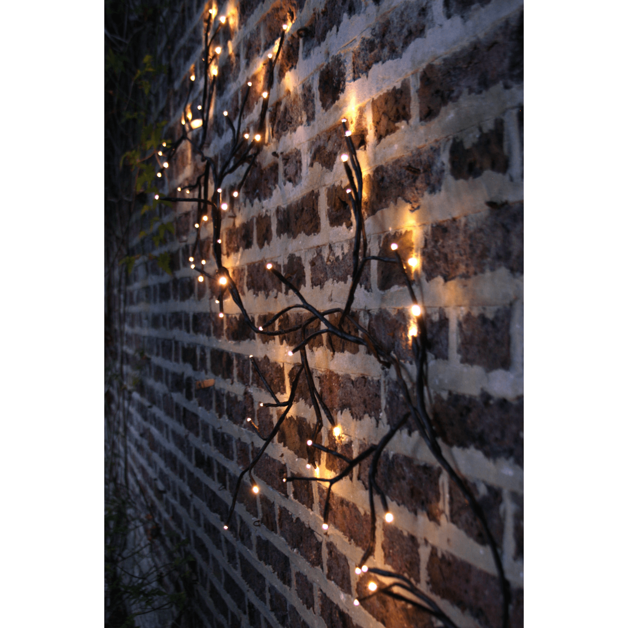 Solar Ivy Lights