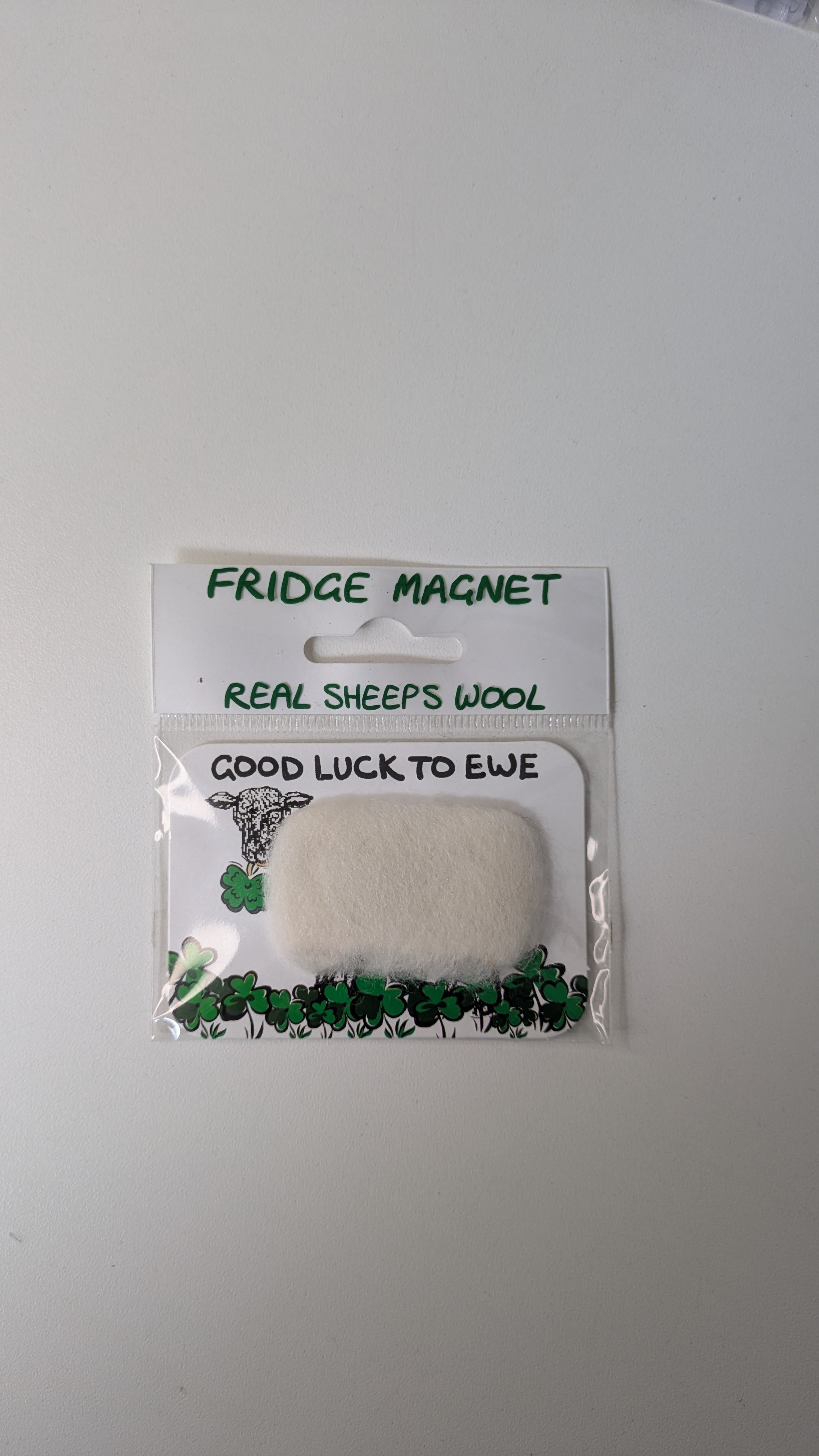 Vanessa Bee Designs, Good luck to ewe - Fridge Magnet