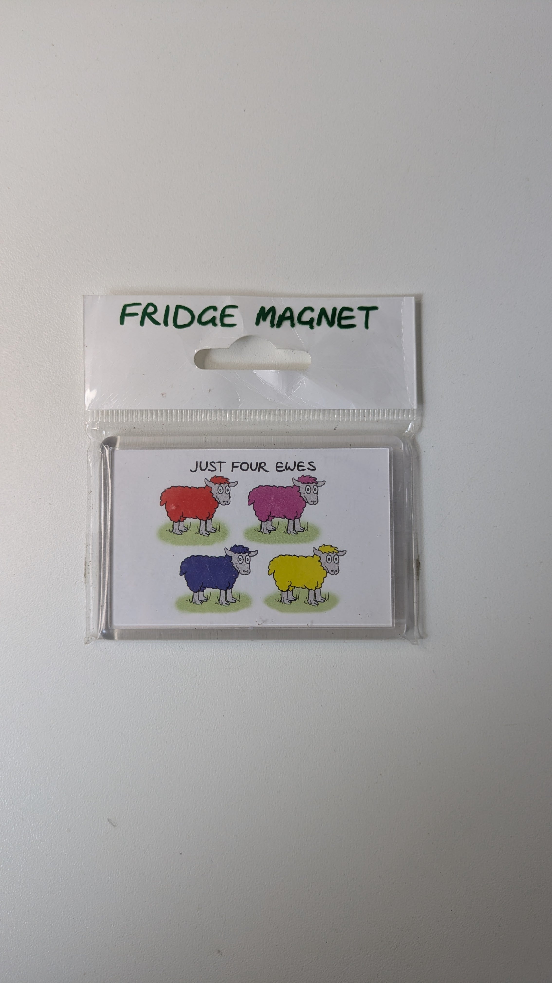 Vanessa Bee Designs, Just four ewes - Fridge Magnet