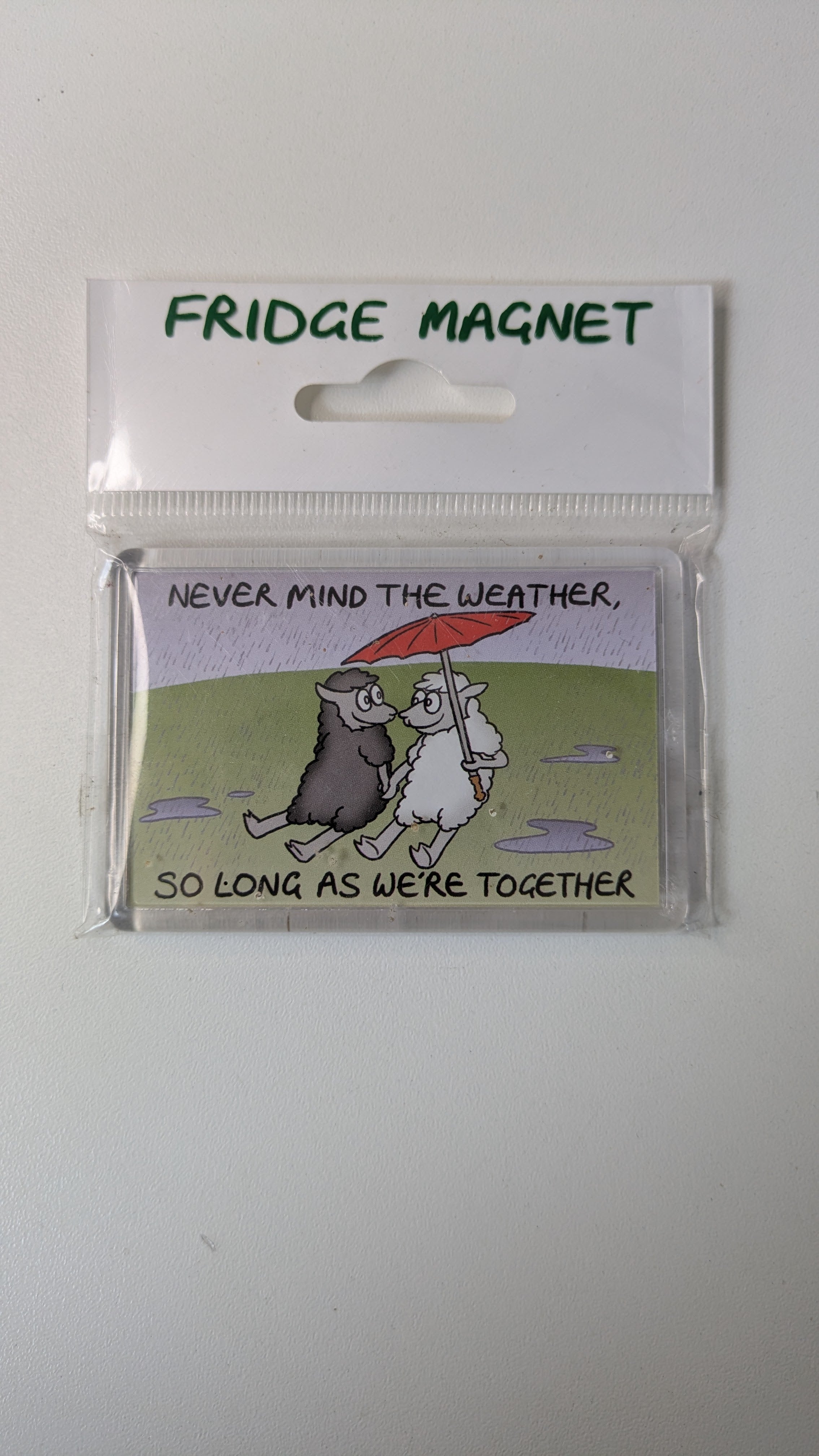 Vanessa Bee Designs, Never mind the weather - Fridge Magnet
