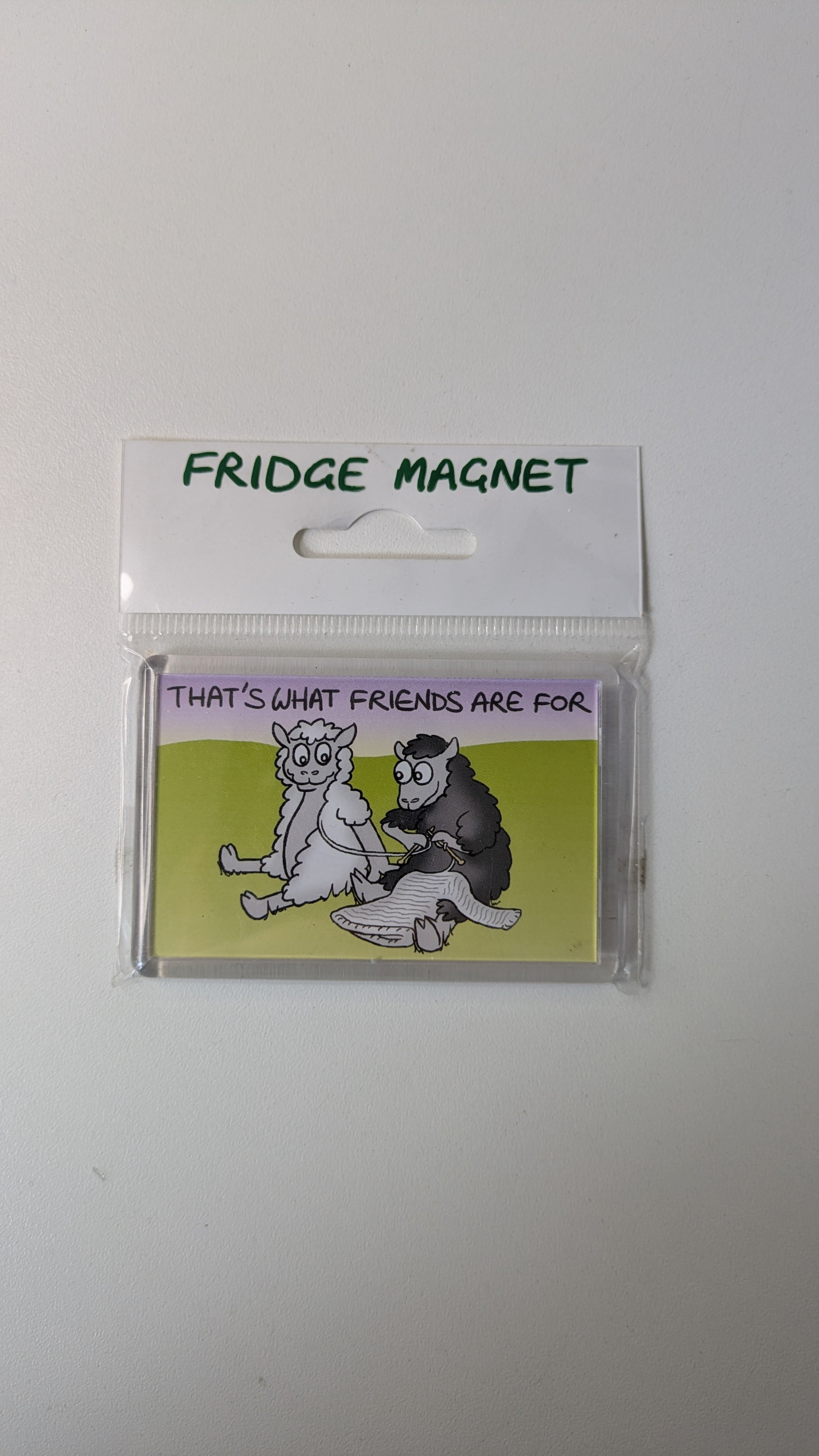 Vanessa Bee Designs, That's What Friends are for - Fridge Magnet