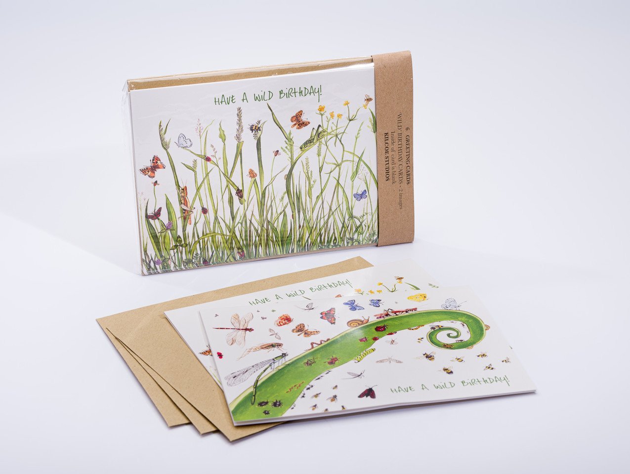 Kilcoe Studios, Wild Birthday, 6 Greeting Cards Quinlans Gift Shop