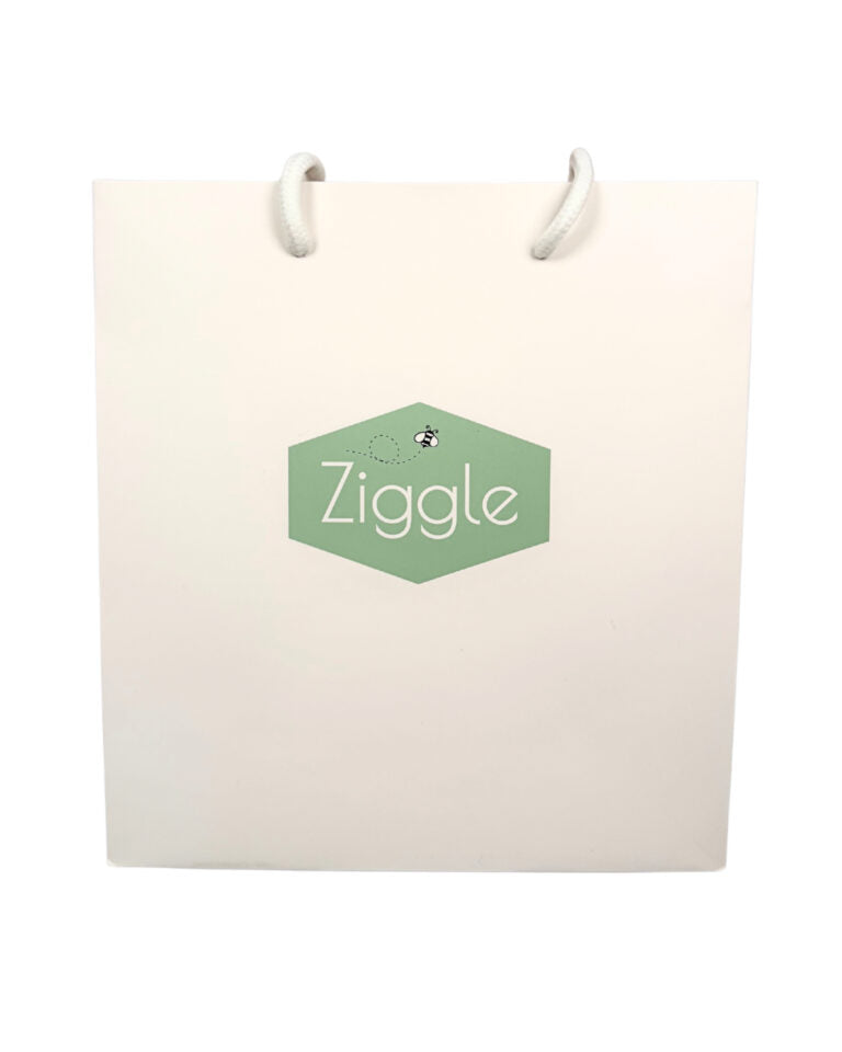 Ziggle, Christmas Story & Snuggle Bundle