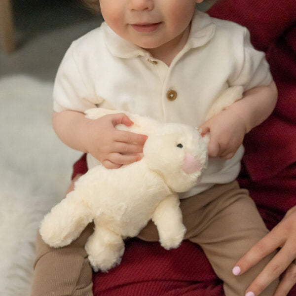 Ziggle, Cream Bunny Plush Toy