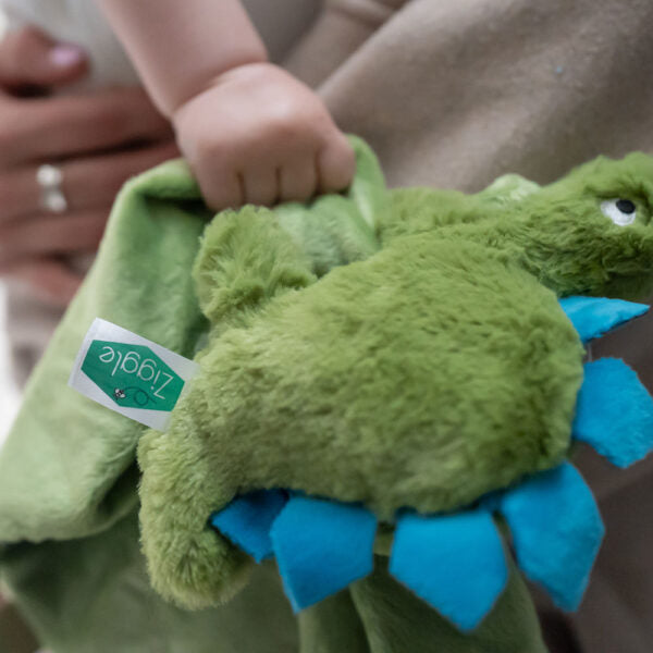 Ziggle, Dino Comforter Blanket