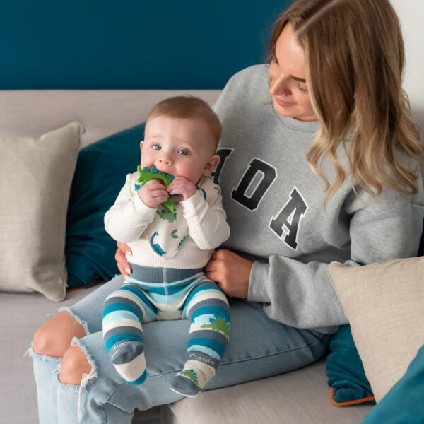 Ziggle, Dinosaur Teether