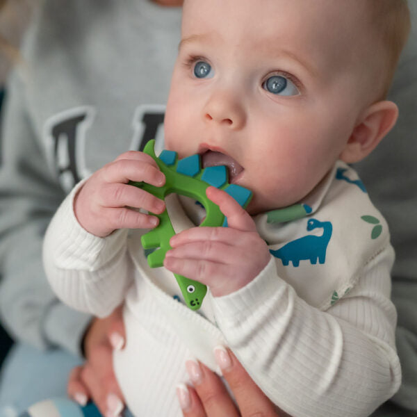 Ziggle, Dinosaur Teether