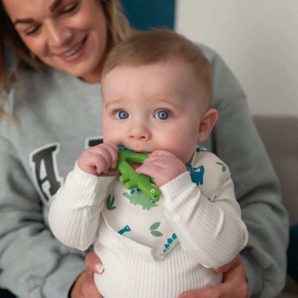 Ziggle, Dinosaur Teether