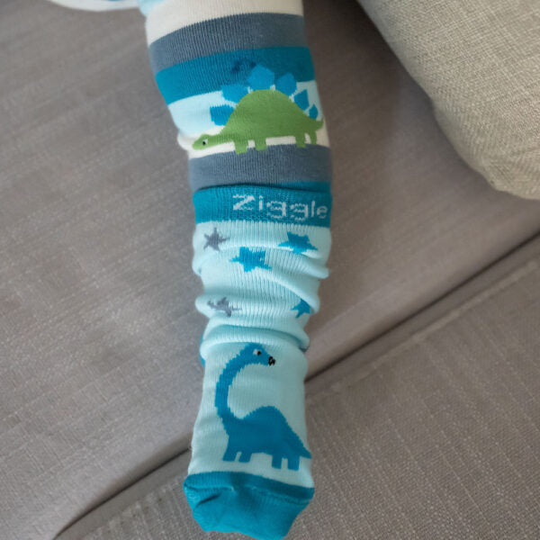Ziggle, Dinosaur Boxed Sock Set