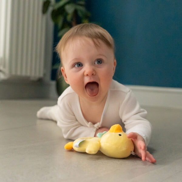Ziggle, Duck Plush Baby Rattle