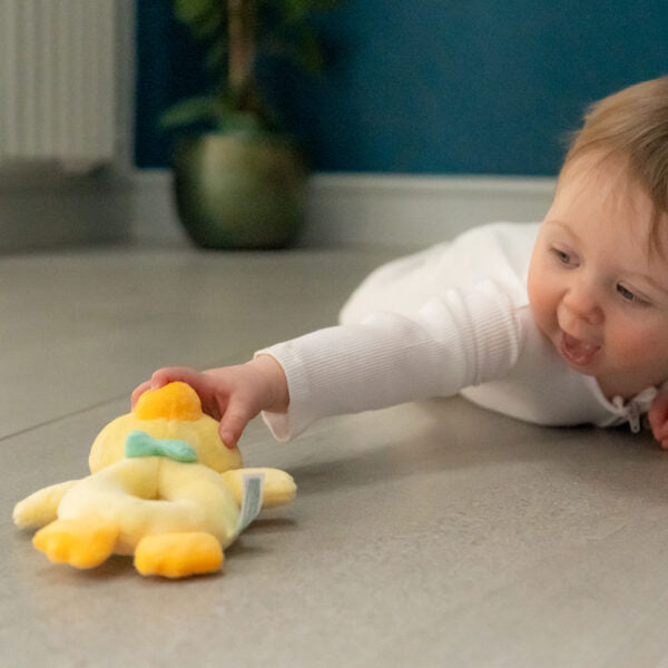 Ziggle, Duck Plush Baby Rattle