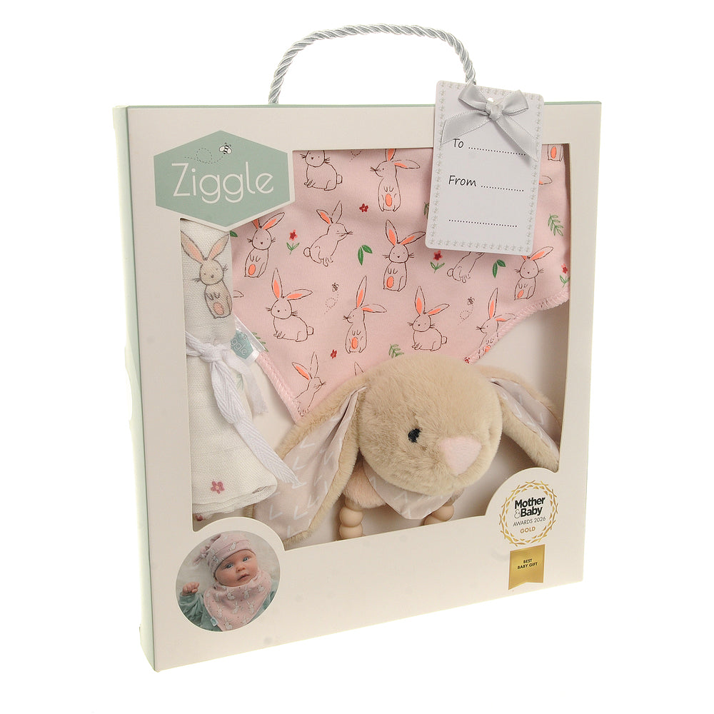 Ziggle, Gift set: Bib Rattle Washcloth Bunnies