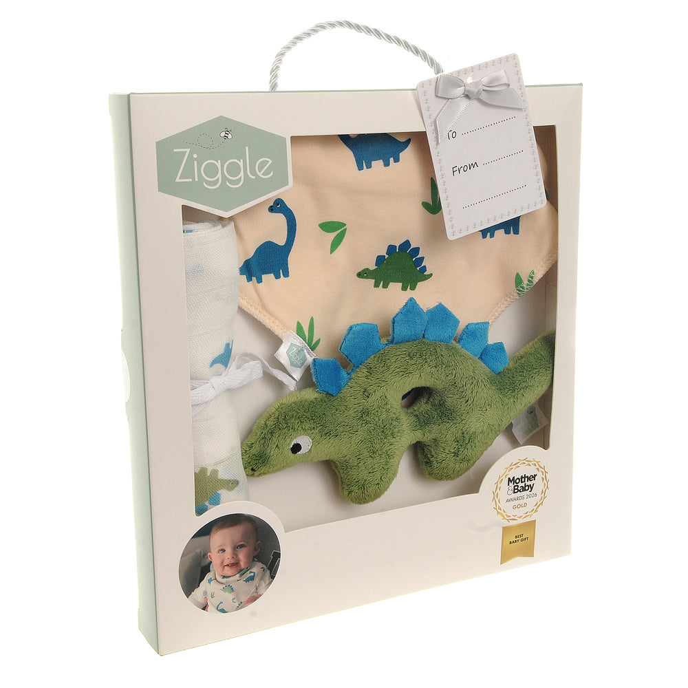 Ziggle, Gift set: Bib Rattle Washcloth Dino