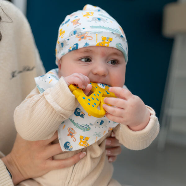 Ziggle, Leopard Teether