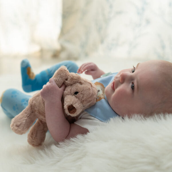 Ziggle, Puppy Plush Toy