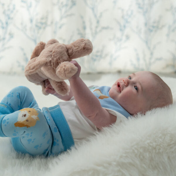 Ziggle, Puppy Plush Toy