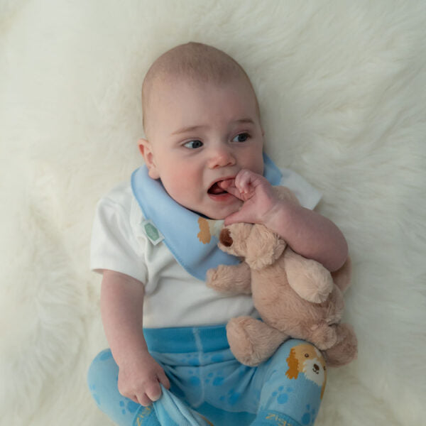 Ziggle, Puppy Plush Toy