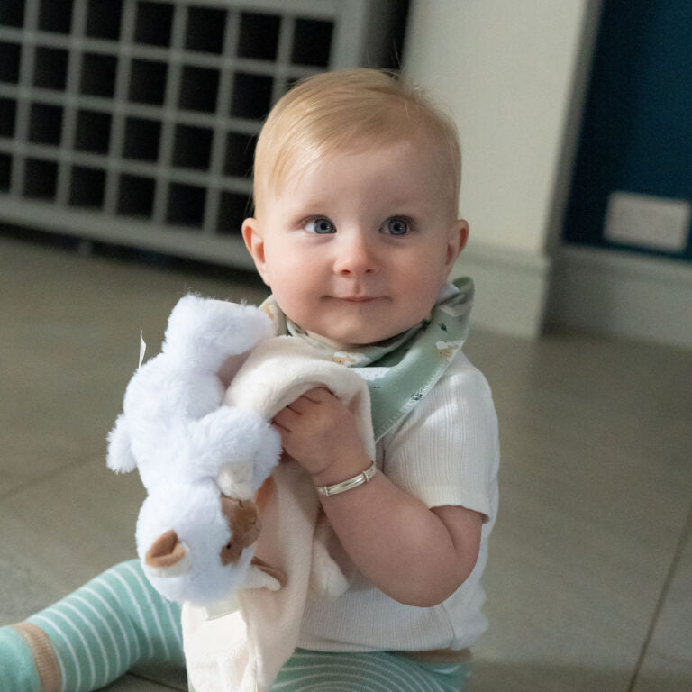 Ziggle, Sheep Plush Comforter Blanket