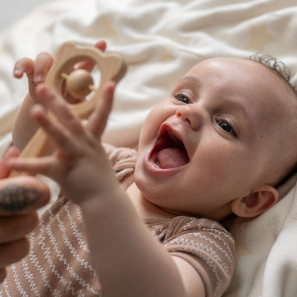 Ziggle, Wooden Teether And Rattle - Blue/Grey