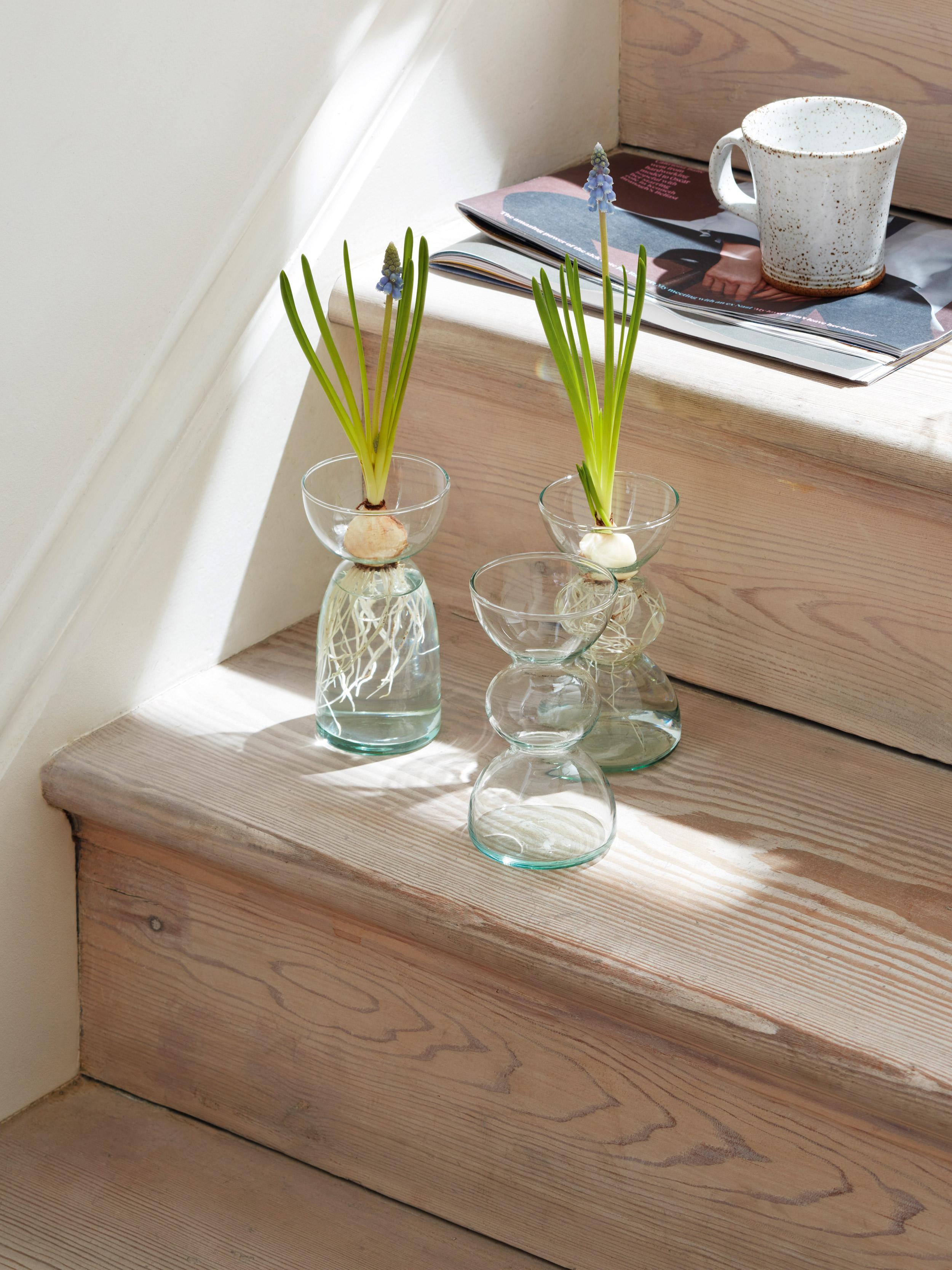 LSA International - Canopy Trio Vase Collection Quinlans Gift Shop