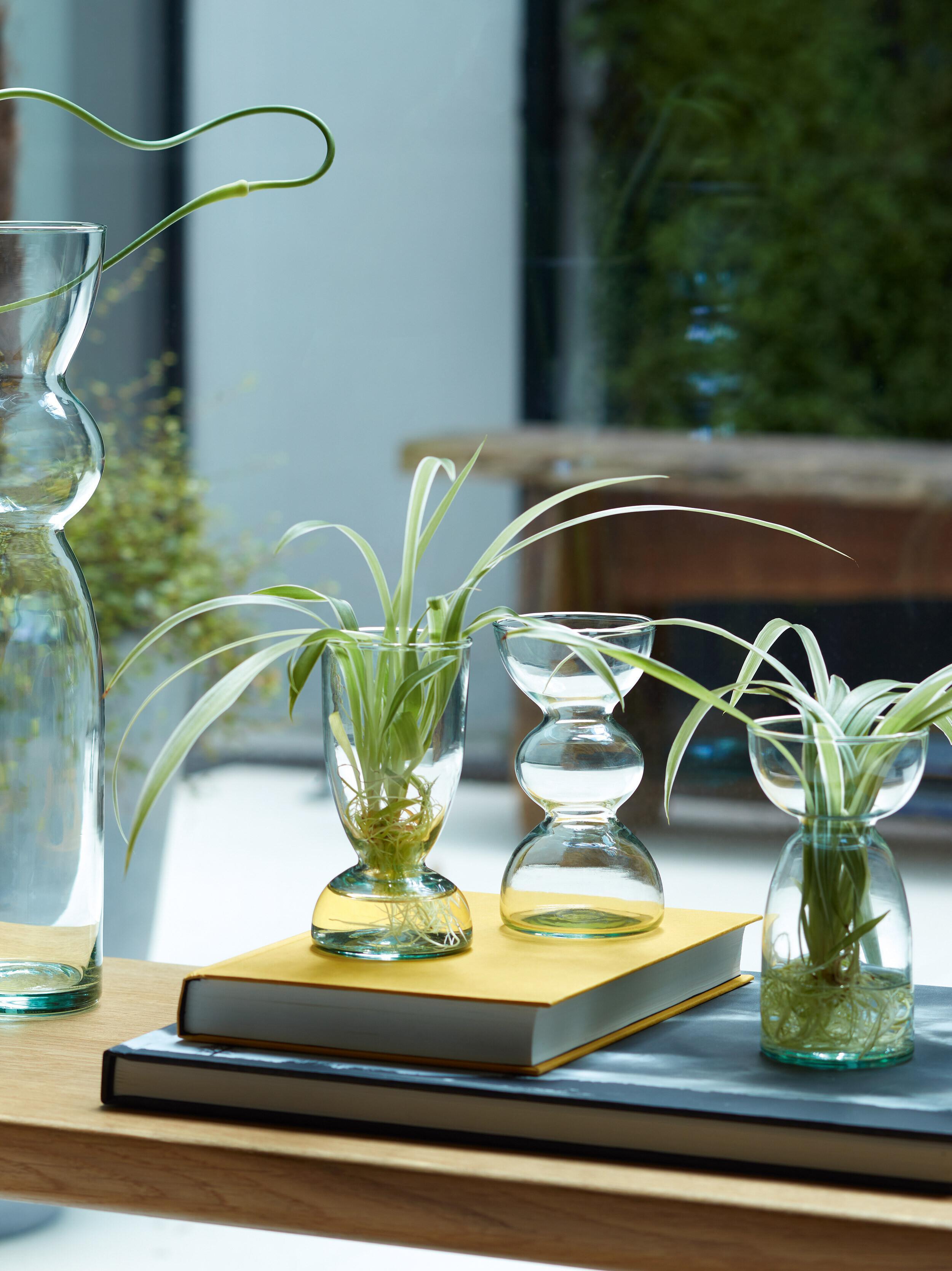 LSA International - Canopy Trio Vase Collection Quinlans Gift Shop