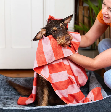 Dog Towel - Medium - Coral