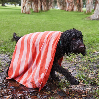 Dog Towel - Medium - Coral