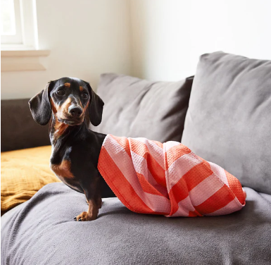 Dog Towel - Medium - Coral