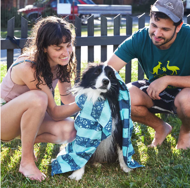 Dog Towel - Medium- Dog Days Paws